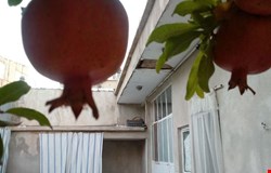 خرید ویلایی با 4 اتاق